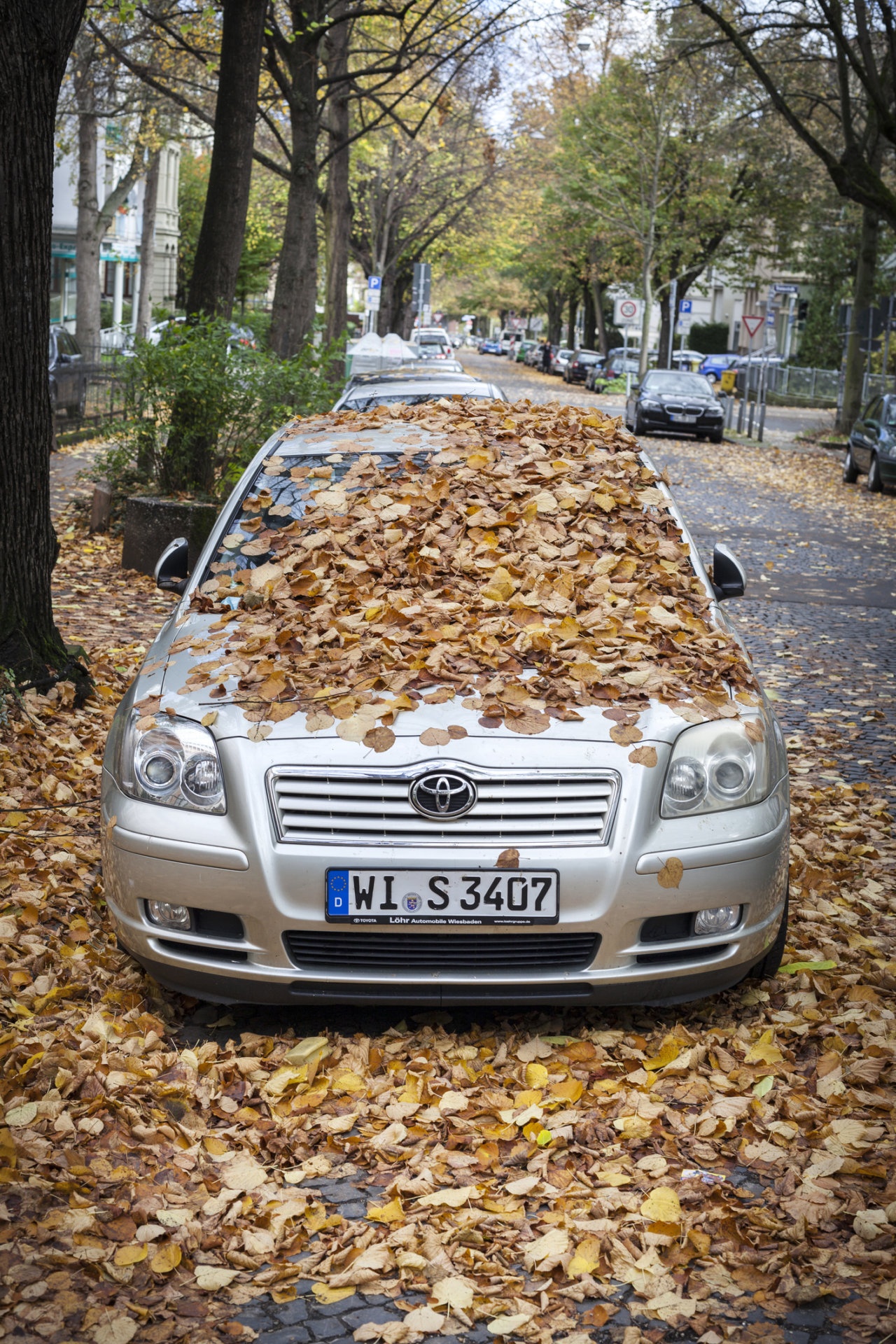 Druga generacja Toyoty Avensis zyskała przychylność wielu rodzin. Zwłaszcza modele w wersji kombi były w stanie pomieścić (prawie) wszystko.