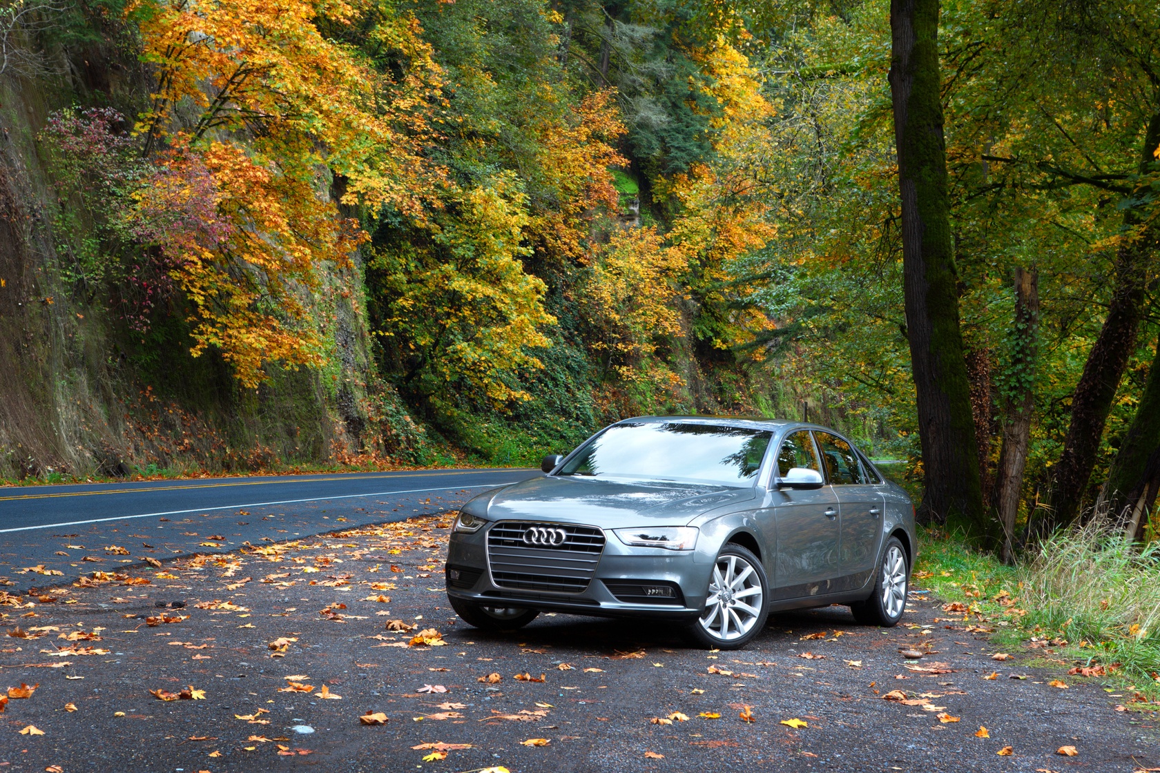 Audi A4 B8 na poboczu, stan Oregon, USA.