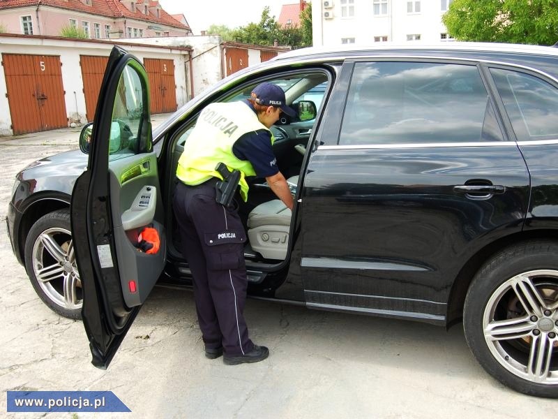 auto przeszukanie