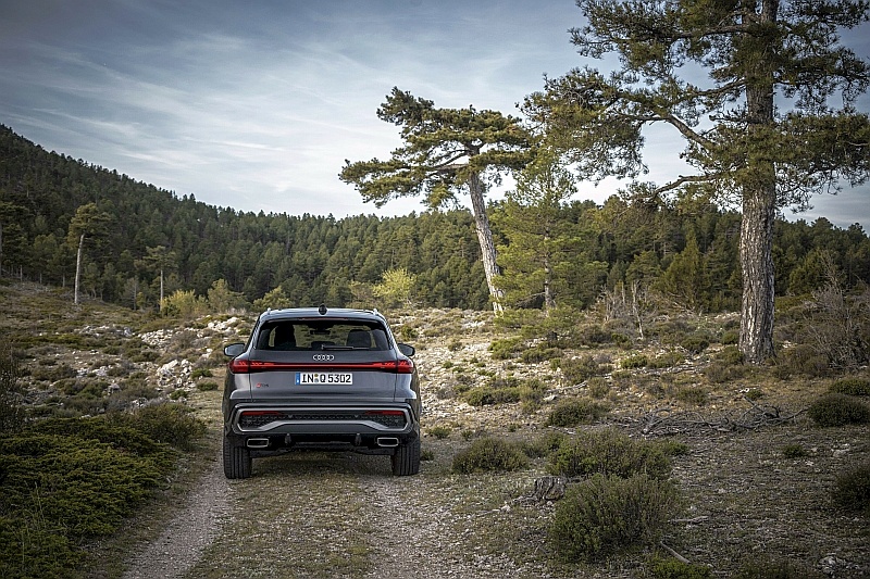 2025 Audi Q5 - tył